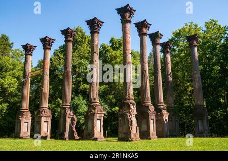 Korinthische Säulen unterschiedlicher Höhe stehen in einer Reihe auf quadratischen Sockeln mit einem grünen Wald und blauem Himmel im Hintergrund in den Windsor Ruinen, Mississippi. Stockfoto