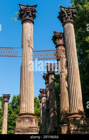 Windsor-Ruinen in Claiborne County, Mississippi Stockfoto