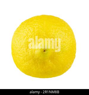 Zitronenfrucht ganze Frucht, isoliert auf weißem Hintergrund. Datei enthält Beschneidungspfad. Volle Schärfentiefe. Stockfoto
