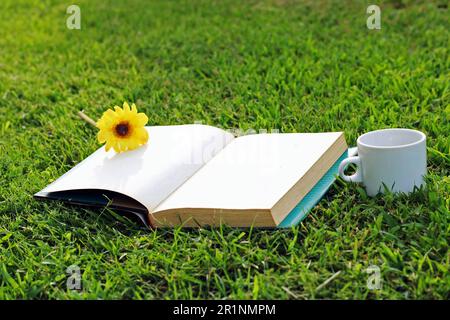 Eine Tasse Kaffee, ein Buch und eine Blume im Wald. Stockfoto