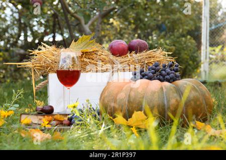 Ein Glas Wein, Buch, Kürbis und Trauben auf grünem Gras im Park. Herbstpicknick Stockfoto