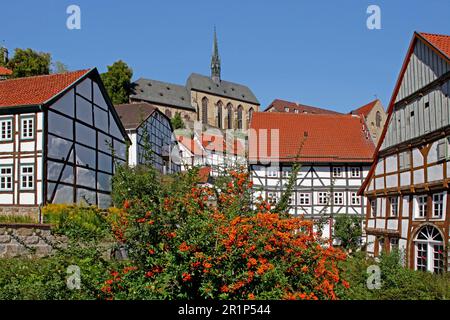 Historische Altstadt, protestantische Altstadt Kirche St. Maria in Vinea, Marianum-Gymnasium, Warburg, Hoexter-Bezirk, Nordrhein-Westfalen Stockfoto