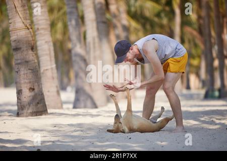 Ein Mann, der mit einem glücklichen Hund auf einem wunderschönen Sandstrand unter Palmen spielt. Stockfoto