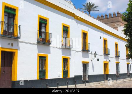 Patio de Banderas, Reales Alcazares, Sevilla, Andalusien, Spanien Stockfoto