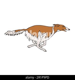 Vektorhandgezeichneter russischer Borzoi-Hund Stock Vektor