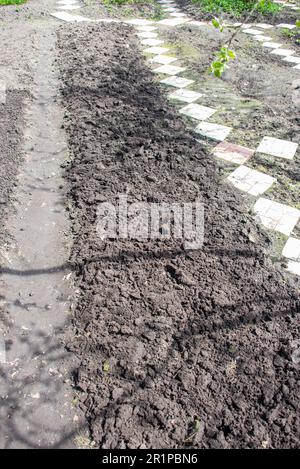 Das Gemüsebeet wird im Frühjahr gepflanzt. Garten, ländlich, Hütte. Stockfoto