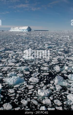 Antarktis, Bellingshausen-Meer, Carroll Inlet, in der Nähe von Sims Island. 73 Grad nach Süden. Bergy Eisstücke treiben mit Eisbergen in der Ferne. Stockfoto