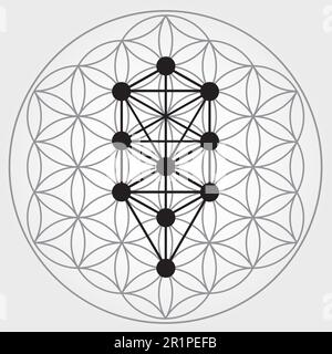 Blume des Lebens Symbol in Schwarz und Weiß, Cosmic Universe Energy Wheel, Baum von Sephiroth, Kabbalah Stock Vektor