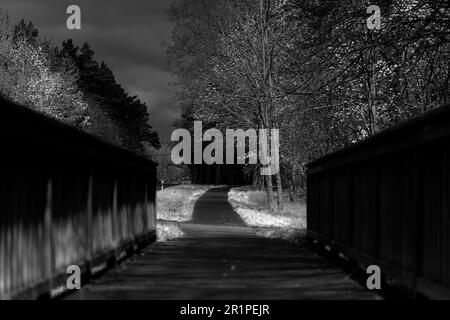 Holzbrücke auf einem Radweg zwischen zwei Städten, Schärfe im Hintergrund, selektive Schärfe, geringe Schärfentiefe, verschwommenes Bokeh, Schwarz-Weiß-Fotografie Stockfoto