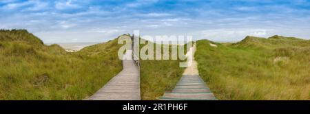 Dünenpfad auf der Insel Amrum Stockfoto
