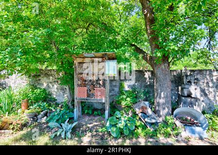 Klostergarten, Propstei Zella, Garten, Botanik, Sommer, Blick auf das Dorf, Zella, Rhön, Wartburgkreis, Thüringen, Deutschland, Europa, Stockfoto