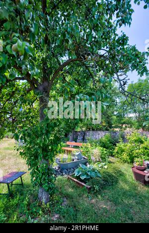 Klostergarten, Propstei Zella, Garten, Botanik, Sommer, Blick auf das Dorf, Zella, Rhön, Wartburgkreis, Thüringen, Deutschland, Europa, Stockfoto