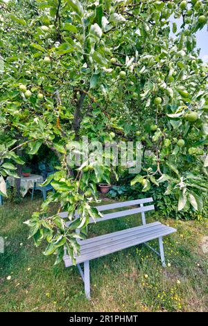 Klostergarten, Propstei Zella, Garten, Botanik, Sommer, Blick auf das Dorf, Zella, Rhön, Wartburgkreis, Thüringen, Deutschland, Europa, Stockfoto