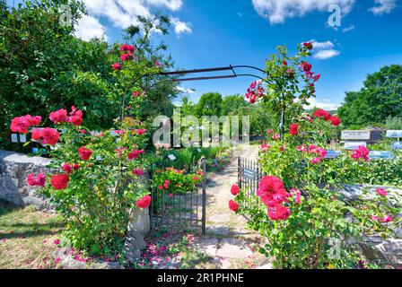 Klostergarten, Propstei Zella, Garten, Botanik, Sommer, Blick auf das Dorf, Zella, Rhön, Wartburgkreis, Thüringen, Deutschland, Europa, Stockfoto