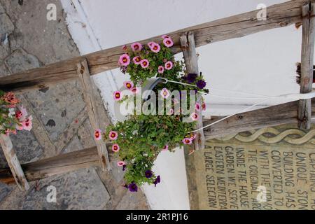 Griechenland, Rhodos, Lindos, Allee, niemand. Gebäude, draußen, Leiter mit Blumen, Dekoration, dekorativ gepflanzt Stockfoto