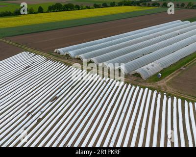 Spargel- und Erdbeerfelder unter Plastikfolie und ein Tunnel in der Nähe von Weiterstadt, aufgenommen von oben mit einer Drohne Stockfoto