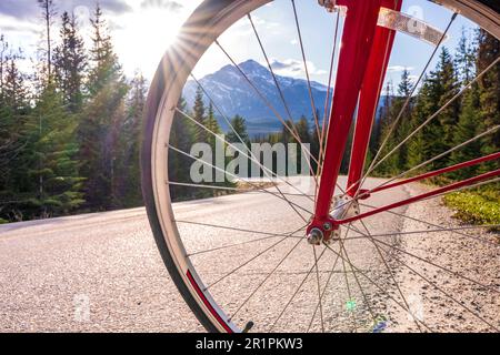 Radfahren in der Natur. Malerische Fahrradtour entlang der alpinen Route. Maligne Lake Road. Jasper National Park, Alberta, Kanada. Stockfoto