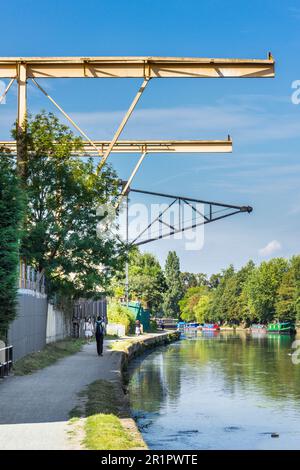 Kraniche über den Fluss Lee in Tottenham, London, Großbritannien Stockfoto