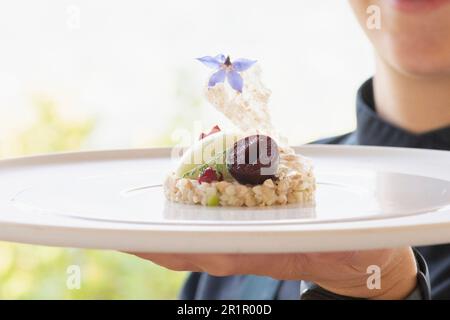 Italien, Trentino Südtirol, Südtirol, Merano, Castel Fragsburg, Restaurant Prezioso von Chef de Cuisine Egon Heiss, vegane Küche mit tierproduktfreien Zutaten, Buchweizensalat, Granny Smith Sorbet, Damonbraten, Miriam Kompatscher Stockfoto