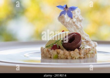 Italien, Trentino Südtirol, Südtirol, Merano, Castel Fragsburg, Restaurant Prezioso von Chef de Cuisine Egon Heiss, vegane Küche mit tierproduktfreien Zutaten, Buchweizensalat, Granny Smith Sorbet, Damonbraten, Stockfoto