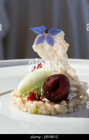 Italien, Trentino Südtirol, Südtirol, Merano, Castel Fragsburg, Restaurant Prezioso von Chef de Cuisine Egon Heiss, vegane Küche mit tierproduktfreien Zutaten, Buchweizensalat, Granny Smith Sorbet, Damonbraten, Stockfoto