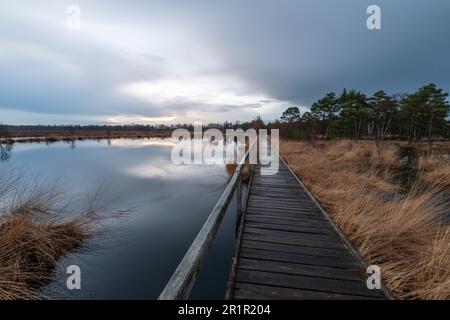 Das Pietzmoor in der Lüneburger Heide. Stockfoto