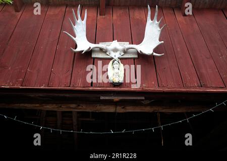 Schweden, Ekerö, Rosenhill, Elchgeweih und Bild der Jungfrau Maria in einem Haus Stockfoto