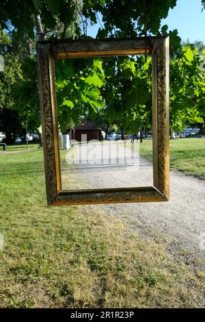 Schweden, Strängnäs, Framing Reality, Natur, Sommer Stockfoto