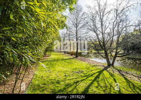 Botanischer Garten, Loki Schmidt Garden, Hamburg, Norddeutschland, Deutschland, Europa Stockfoto