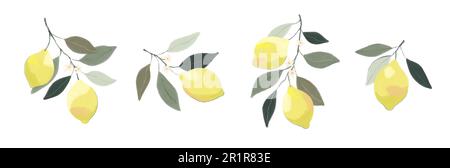 Ein Set Zitronenäste. Handgezeichneter Ast mit reifen Zitronen und Blättern und Blumen auf weißem Hintergrund. Vektordarstellung Stock Vektor