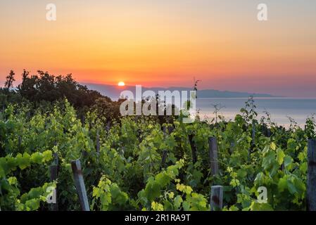 Ein sizilianischer Sonnenaufgang von einem Weinberg hoch oben an den Hängen des Ätna Stockfoto
