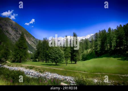 Fluss und Fußweg in Wald- und Berglandschaft, Gressoney, Aosta-Tal, Italien Stockfoto