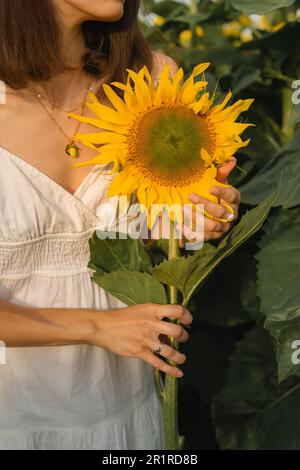 Nahaufnahme einer Frau, die auf einem Feld mit einer Sonnenblume in Weißrussland stand Stockfoto