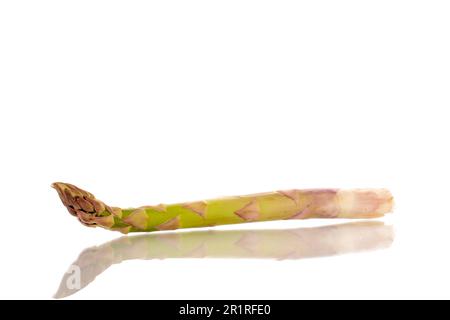 Ein Stiel organischen Spargels, Makro, isoliert auf weißem Hintergrund. Stockfoto