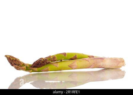 Zwei Stiele organischen Spargels, Makro, isoliert auf weißem Hintergrund. Stockfoto