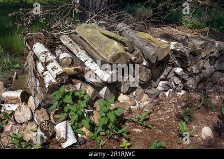 Der Holzstapel ist bereit für kuschelige, warme offene Kamine im Winter Stockfoto