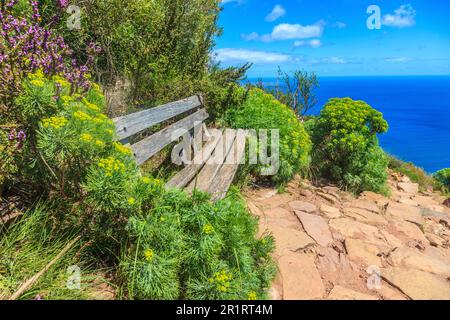 Foto einer Holzbank auf dem Weg zum Gipfel des Lions Head in Kapstadt mit Blick auf den Atlantischen Ozean und umgeben von Büschen, die in so fotografiert wurden Stockfoto