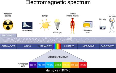 Elektromagnetisches Spektrum. Verschiedene Arten elektromagnetischer Strahlung, einschließlich Funkwellen, Mikrowellen, Infrarot, sichtbares Licht, Ultraviolett, Röntgenstrahlen Stock Vektor