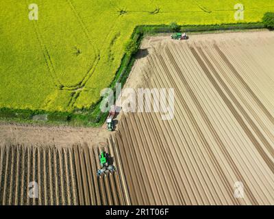 Pembridge, Herefordshire, Großbritannien - Montag, 15. Mai 2023 - UK Weather - Landwirte nutzen das gute Wetter und die trockenen Bedingungen, um Felder zu pflügen, um sich auf die Kartoffeln der Spätsaison im ländlichen Herefordshire vorzubereiten. Die Vorhersage ist für warme, sonnige und trockene Wetterbedingungen für die nächsten Tage mit lokalen Temperaturen von bis zu 20c °C in einem großen Teil Großbritanniens. Foto Steven May/Alamy Live News Stockfoto