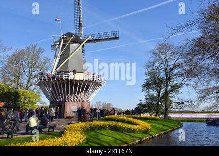 Lisse, Niederlande. April 2023. Besucher des Keukenhof, einem großartigen Frühlingsgarten in den Niederlanden. Hochwertiges Foto Stockfoto