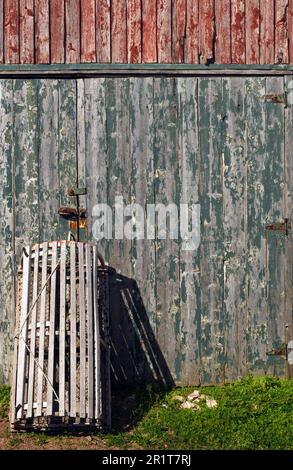 Eine Hummerfalle aus Holz neigt sich gegen die verblasste Tür eines Gebäudes auf Prince Edward Island, Kanada. Stockfoto