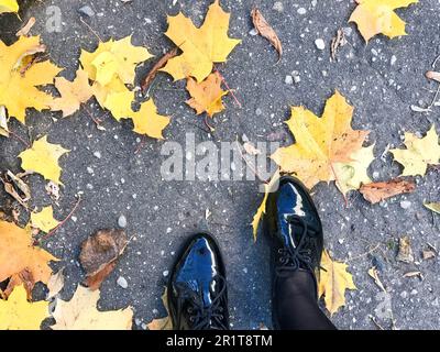 Füße in wunderschönem schwarzem Leder glatte, glänzende Schuhe auf gelben und roten, braunen natürlichen Herbstblättern auf dem Bürgersteig. Stockfoto