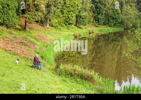 Angler, die in Soudley Ponds in Lower Soudley im Forest of Dean, Gloucestershire, England, angeln Stockfoto