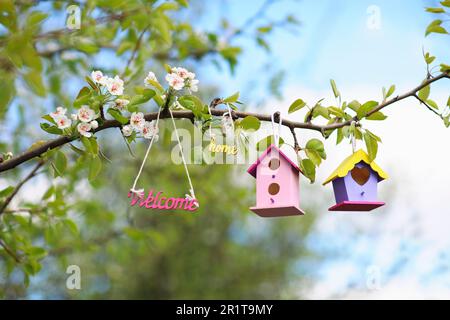 Banner Willkommen in Vogelhäusern, die in einem Frühlingsgarten an einem blühenden Ast hängen Stockfoto