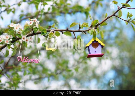 Willkommen zu Hause in Vogelhäusern, die an einem blühenden Ast im Frühlingsgarten hängen Stockfoto