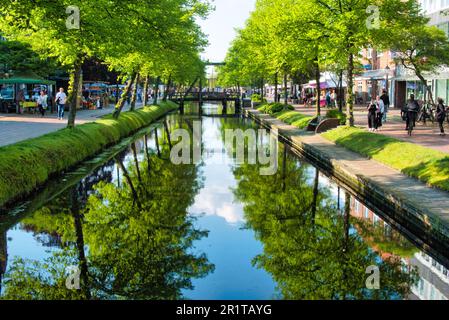 Papenburg im Emsland: Blick auf einen Kanal im Frühling Stockfoto