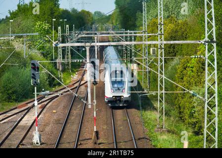 Deutsche Bahn nach der Abfahrt Papenburg in Richtung leer. Die Signale sind rot. Stockfoto