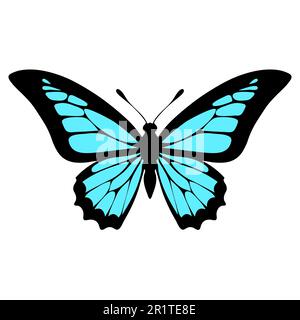 Schmetterling isoliert auf weißem Hintergrund. Vektordarstellung. Eps 10. Stock Vektor