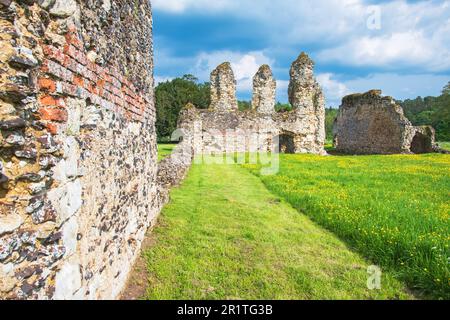 Die Ruinen der Waverley Abbey in der Nähe von Farnham in Surrey, der ersten Zisterzienserabtei, die 1128 in England erbaut wurde. Stockfoto