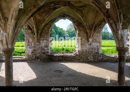 Als Teil der Undercroft in den Ruinen der Waverley Abbey in der Nähe von Farnham Surrey war dies die erste Zisterzienserabtei, die in England gegründet wurde. 1128. Stockfoto